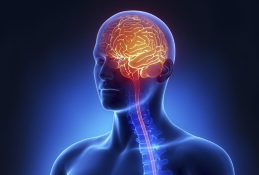 Нейрофизиология Успеха - Атрощенко (2018)_0.png